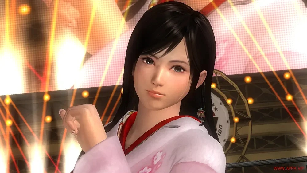 死或生5最后一战(Dead or Alive 5)卡通3D动作格斗游戏|下载20250722150344651.webp天堂游戏乐园