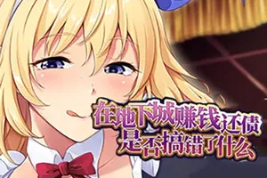 在地下城赚钱还债(in a Dungeon)简中|PC|SLG|卡牌构筑Roguelike角色扮演游戏