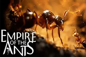 蚂蚁帝国(Empire of the Ants)第三人称即时战略游戏|单机|中文|策略|免费下载20241104084458239.webp天堂游戏乐园