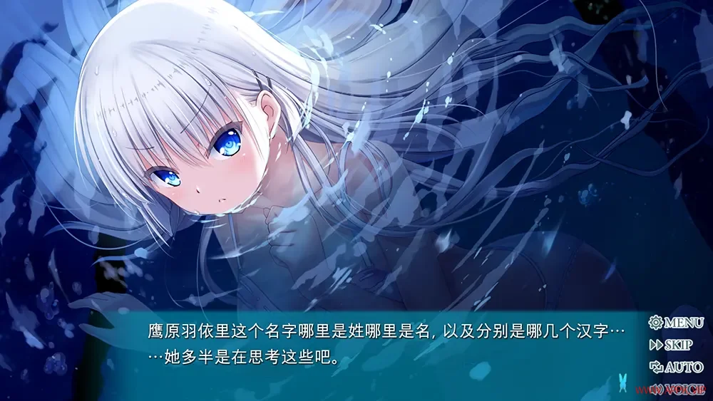 夏日口袋蔚蓝反射(Summer Pockets REFLECTION BLUE)恋爱视觉小说游戏|下载20250628170636643.webp天堂游戏乐园