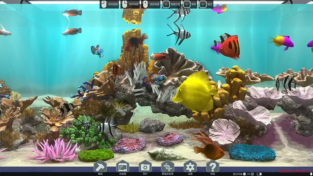 玻璃背后水族馆模拟器(Behind Glass Aquarium Simulator)鱼类养殖游戏|下载20250711055346677.webp天堂游戏乐园