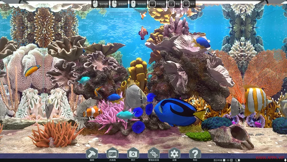 玻璃背后水族馆模拟器(Behind Glass Aquarium Simulator)鱼类养殖游戏|下载20250711055348525.webp天堂游戏乐园