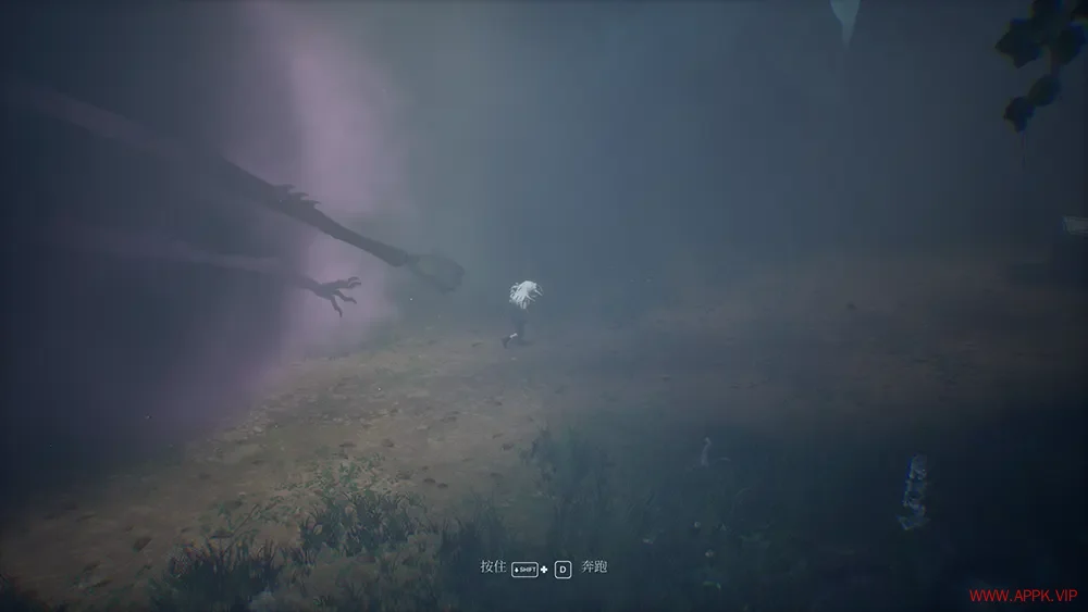 寂静之国的波斯菊(Ayasa Shadows of Silence)怪异世界动作游戏|下载20251129020505434.webp天堂游戏乐园