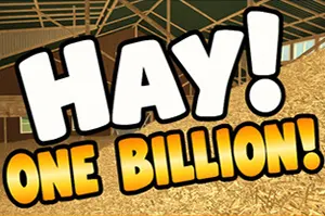 嗨！十亿！ / Hay! One Billion! 休闲寻物游戏20261021075645605.webp天堂游戏乐园