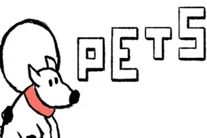 宠物 / PETS 平台跳跃解谜游戏